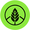 Everyday Wellness
